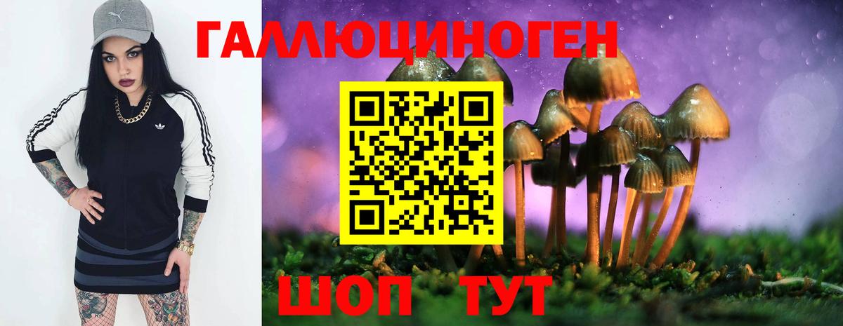 Псилоцибиновые грибы MAGIC MUSHROOMS Азнакаево